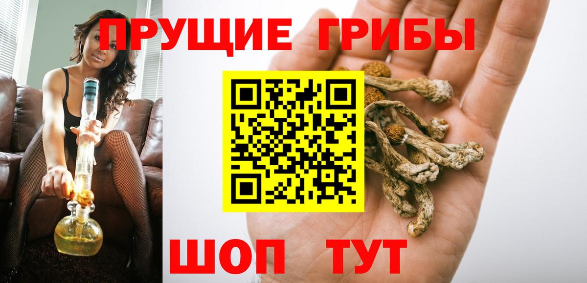 Псилоцибиновые грибы Cubensis  купить   Рузаевка  Псилоцибиновые грибы Psilocybe  Вход с VPN 